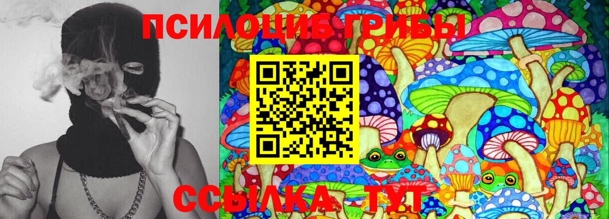 Люберцы  Псилоцибиновые грибы Psilocybine cubensis  Вход с VPN  Галлюциногенные грибы мицелий 