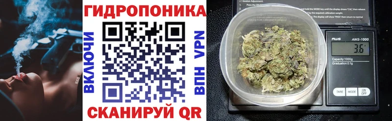 Бошки марихуана конопля цена наркотик Люберцы